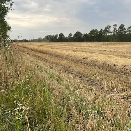 Schou Lykke Nord